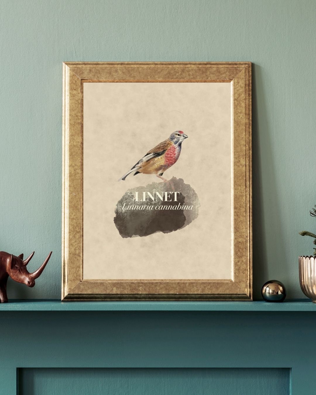 British garden birds print, Linnet, A4 nature print, perfect for bird and wildlife lovers