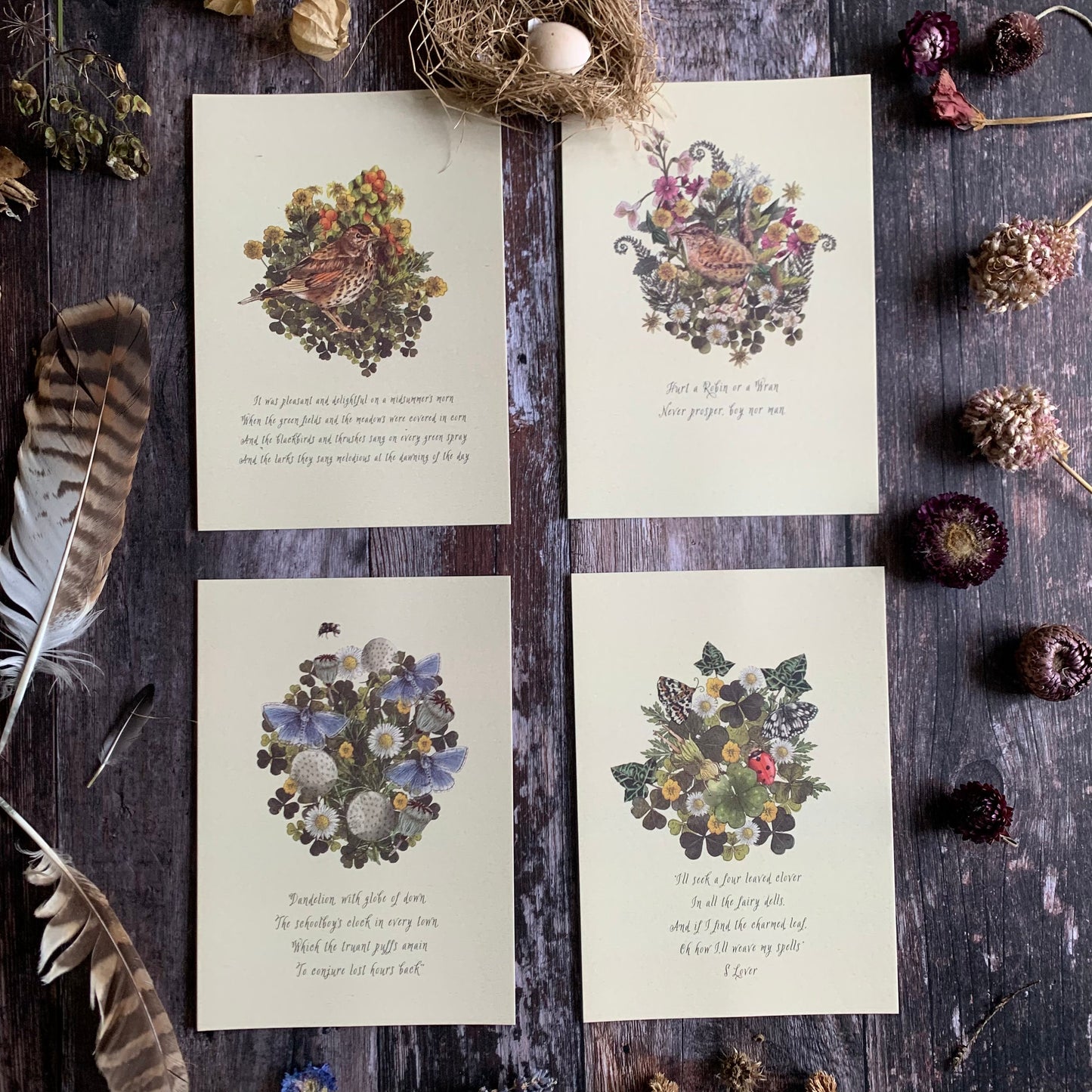 Botanical nature art, set of 4 nature prints featuring old English folklore phrases. Cosy art featuring Birds, butterflies, wildflowers,