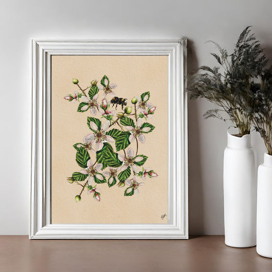 Botanical print, vintage style, original watercolour, blackberry flowers and bee, delicate watercolour painting, ideal nature gift.